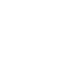 Alerts Icon