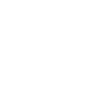 Eye Icon