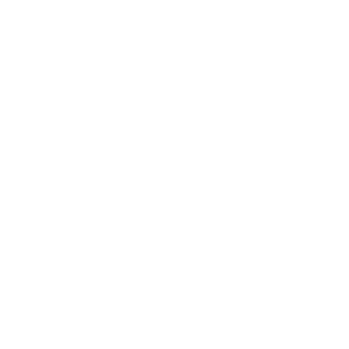 Home Icon
