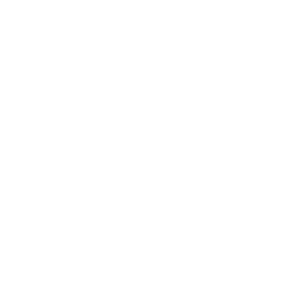Privacy Icon