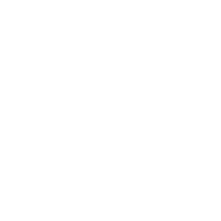 Support Icon